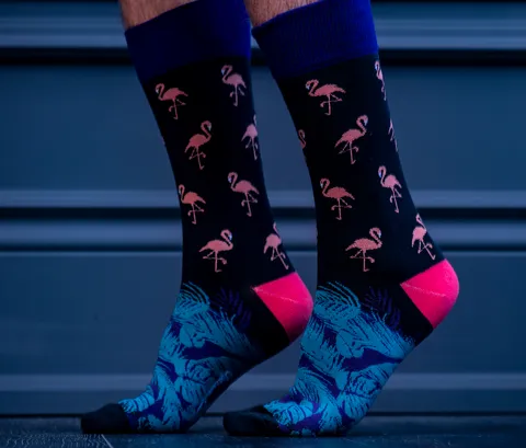 Tropical Punch Socks